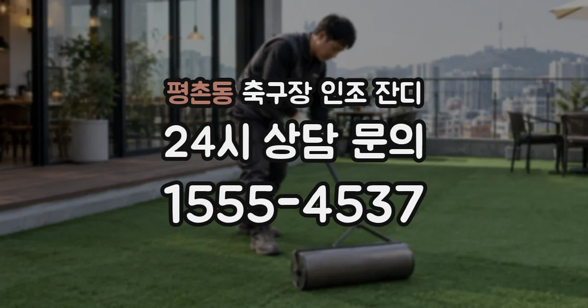 평촌동 축구장 인조 잔디