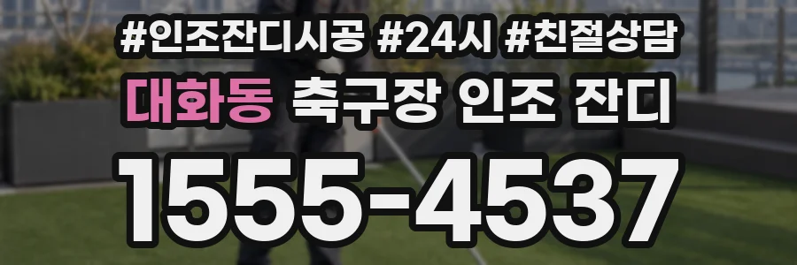 대화동 축구장 인조 잔디