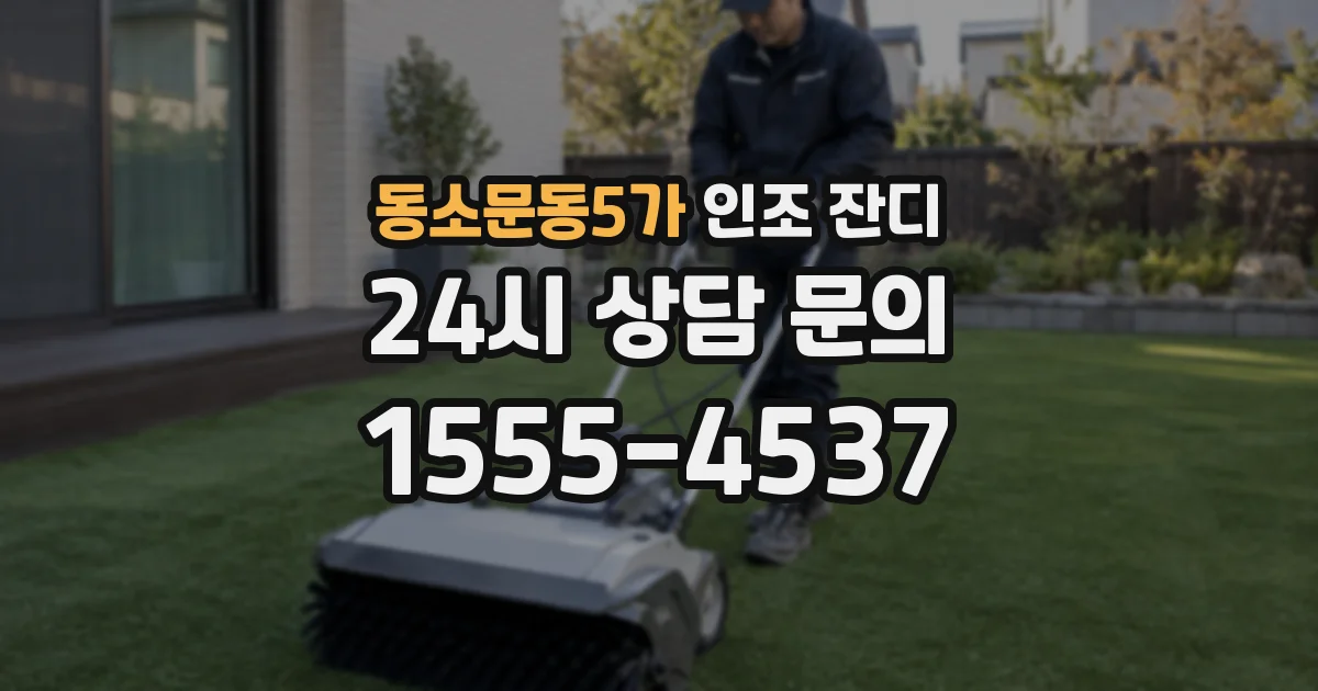 동소문동5가 인조 잔디