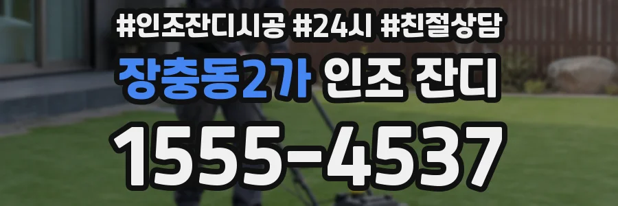 장충동2가 인조 잔디