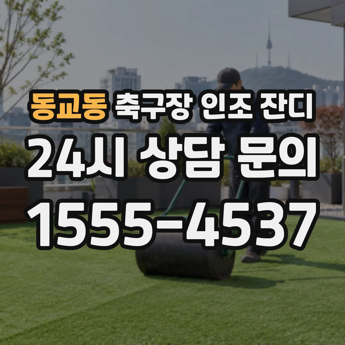 동교동 축구장 인조 잔디