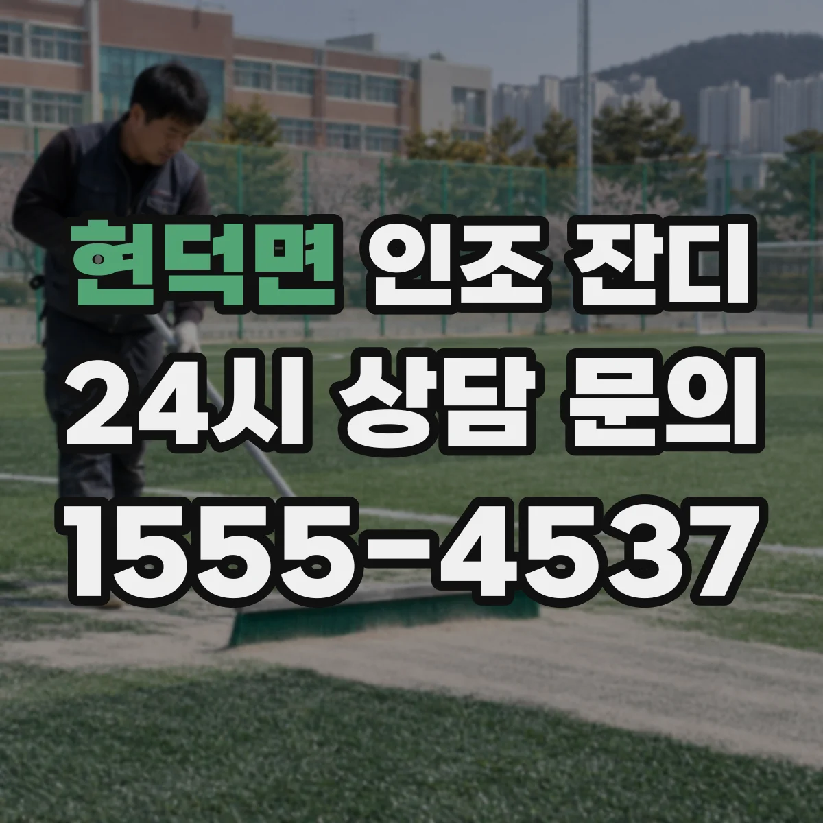 현덕면 인조 잔디