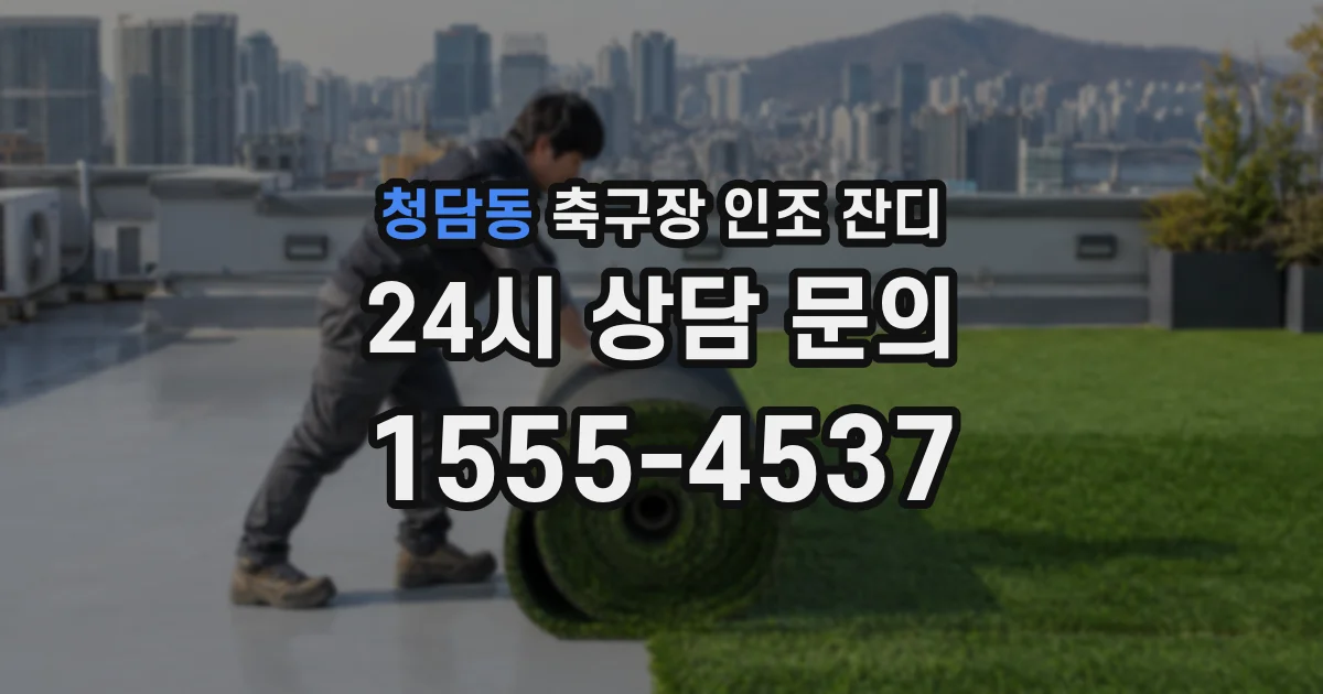 청담동 축구장 인조 잔디