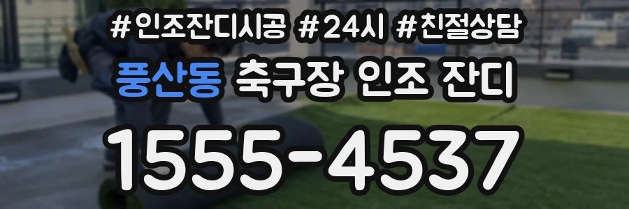 풍산동 축구장 인조 잔디