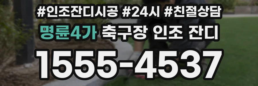 명륜4가 축구장 인조 잔디
