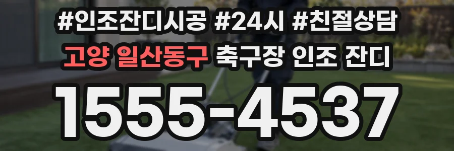 고양 일산동구 축구장 인조 잔디