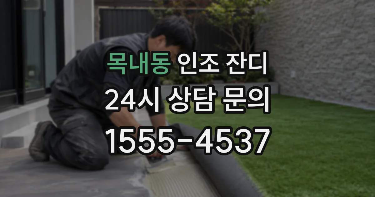 목내동 인조 잔디