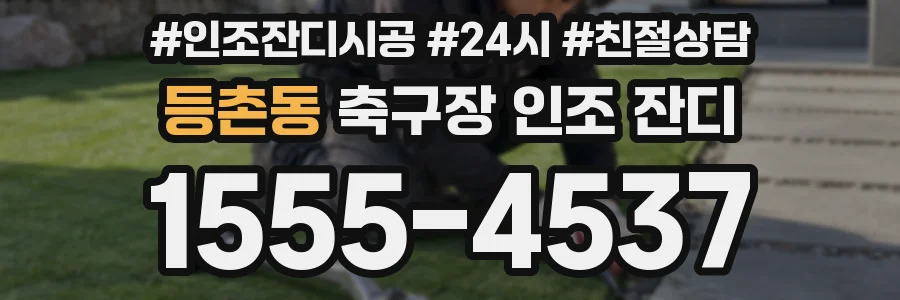 등촌동 축구장 인조 잔디