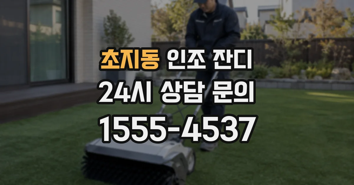 초지동 인조 잔디