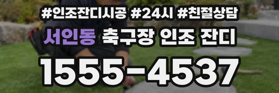 서인동 축구장 인조 잔디