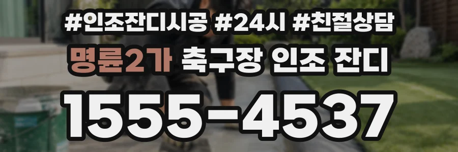 명륜2가 축구장 인조 잔디