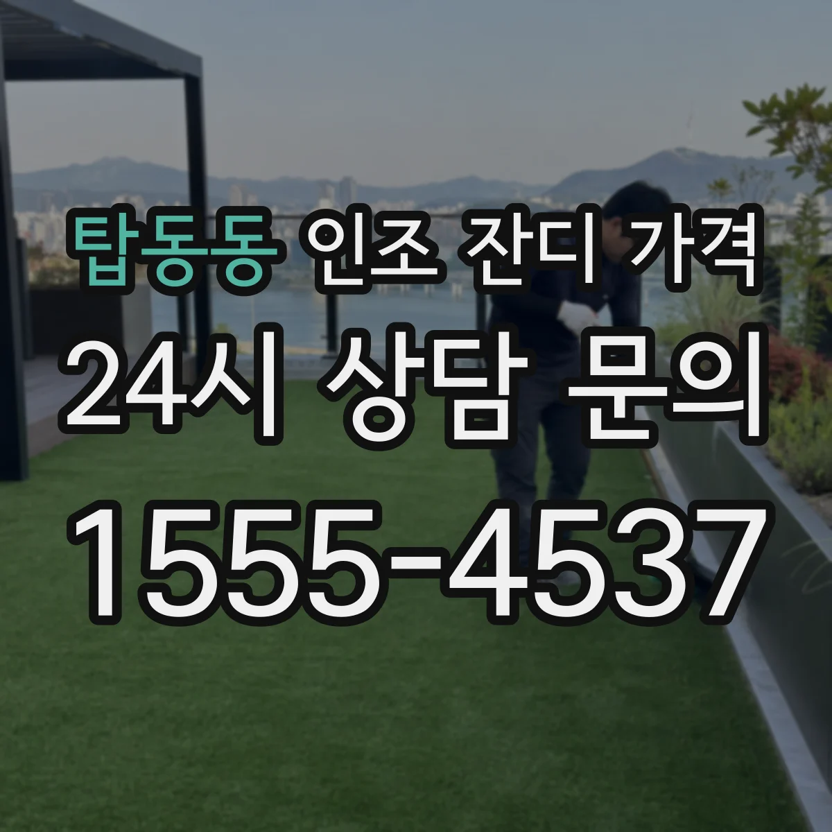 탑동동 인조 잔디 가격