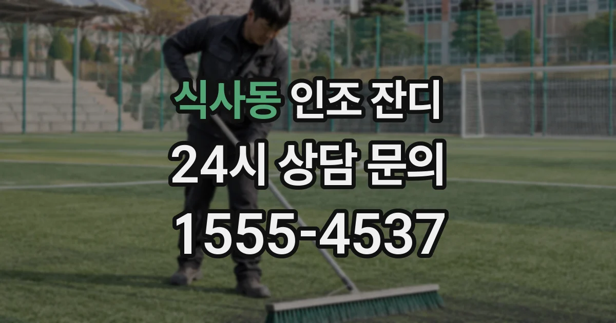 식사동 인조 잔디
