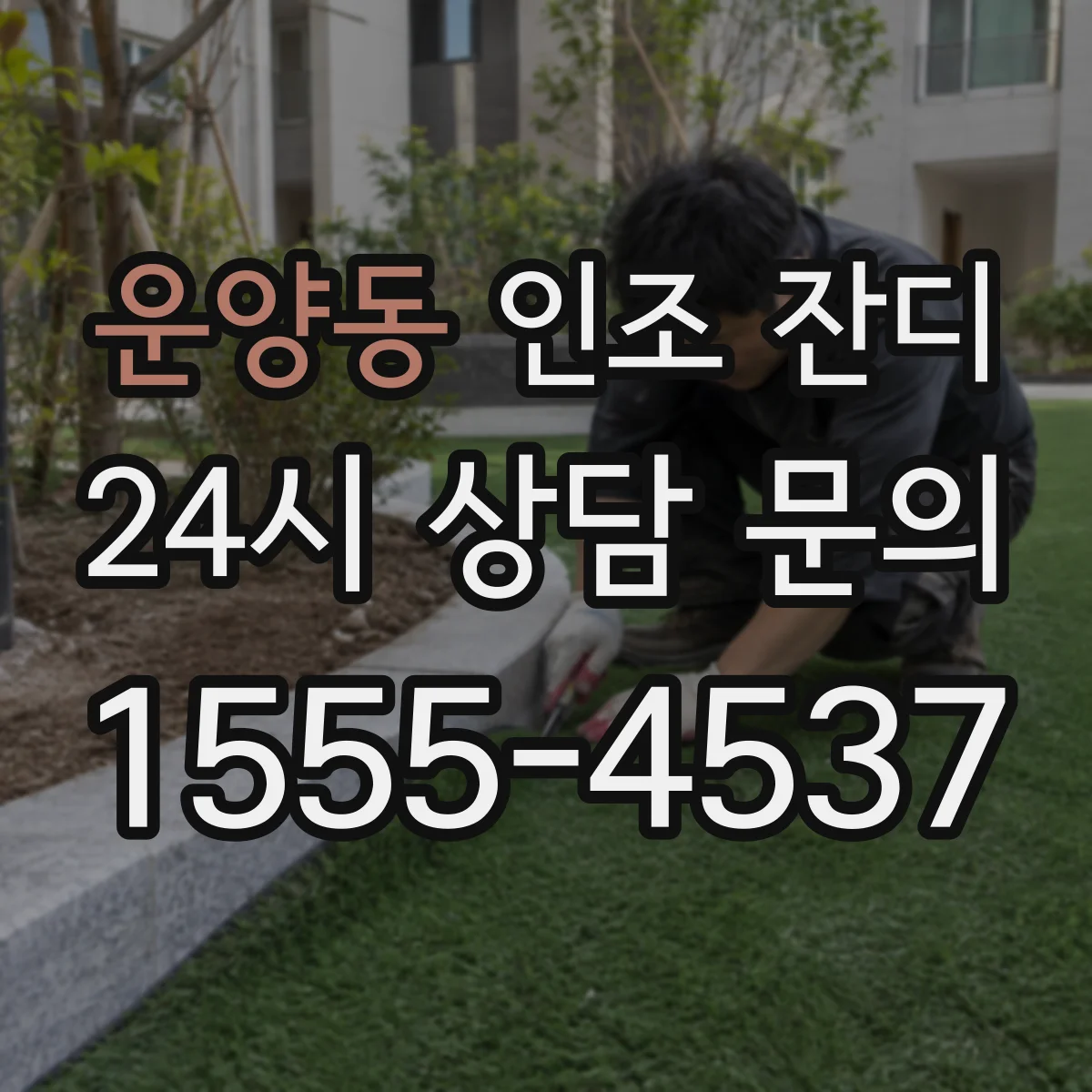 운양동 인조 잔디