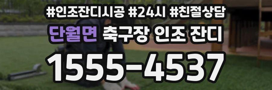 단월면 축구장 인조 잔디
