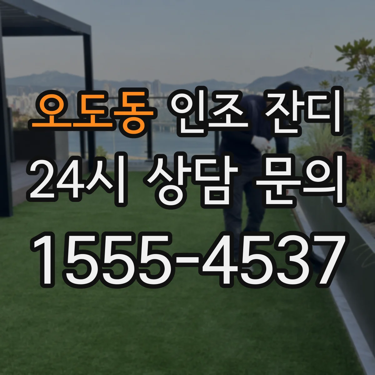 오도동 인조 잔디