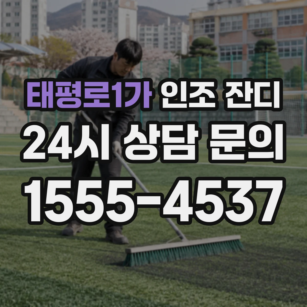 태평로1가 인조 잔디