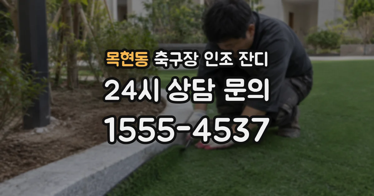 목현동 축구장 인조 잔디