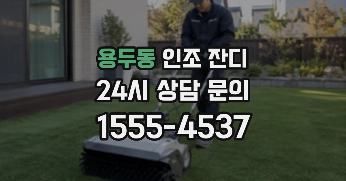 용두동 인조 잔디