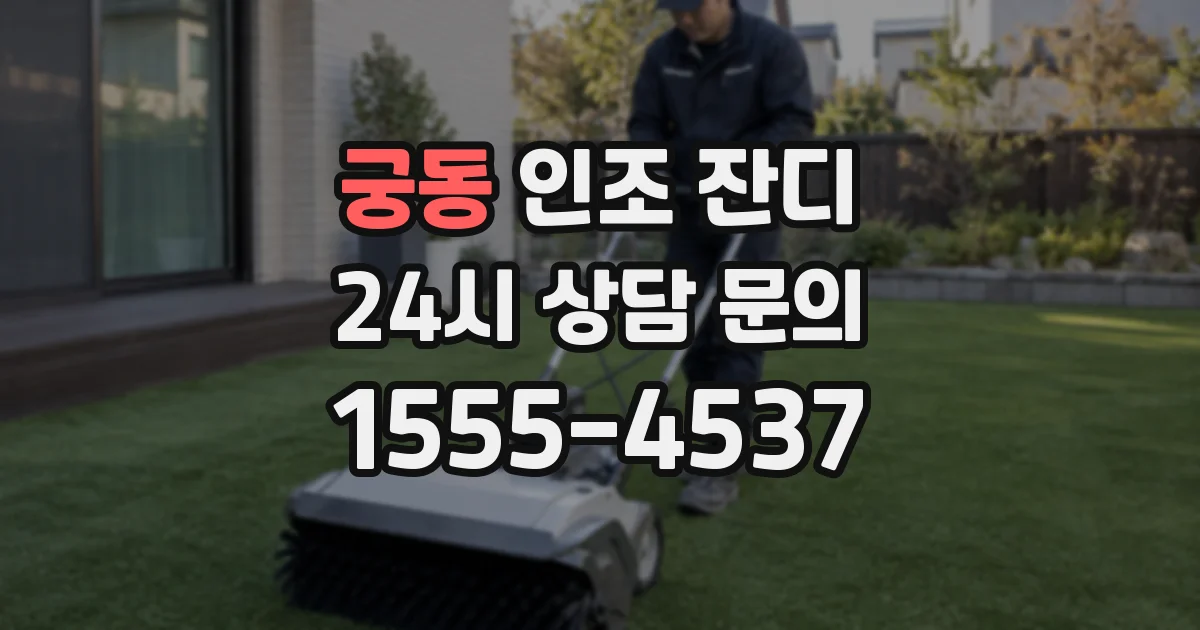궁동 인조 잔디