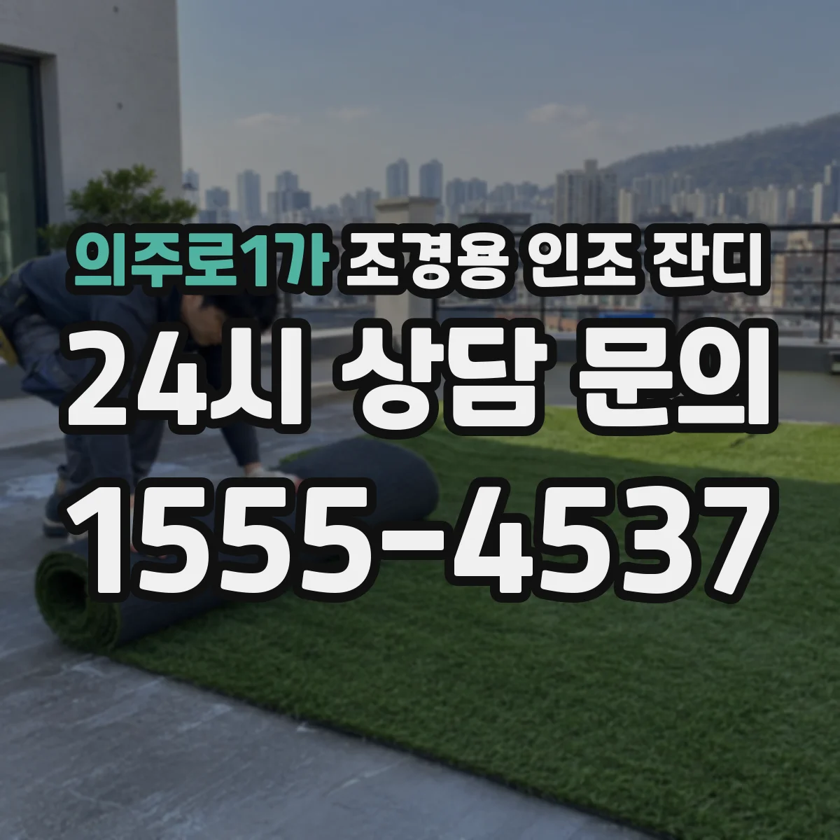 의주로1가 조경용 인조 잔디