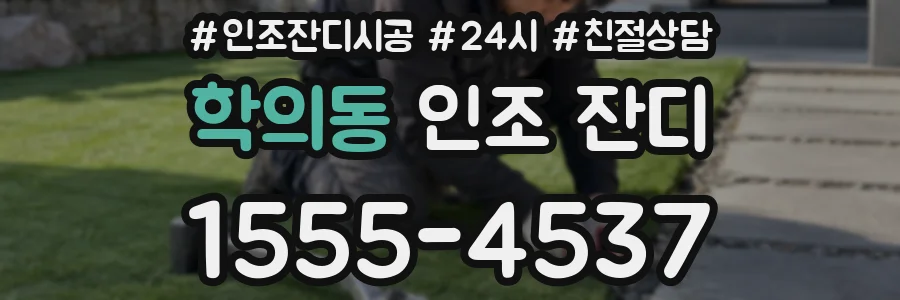 학의동 인조 잔디