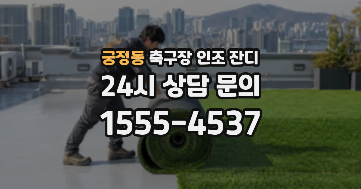 궁정동 축구장 인조 잔디