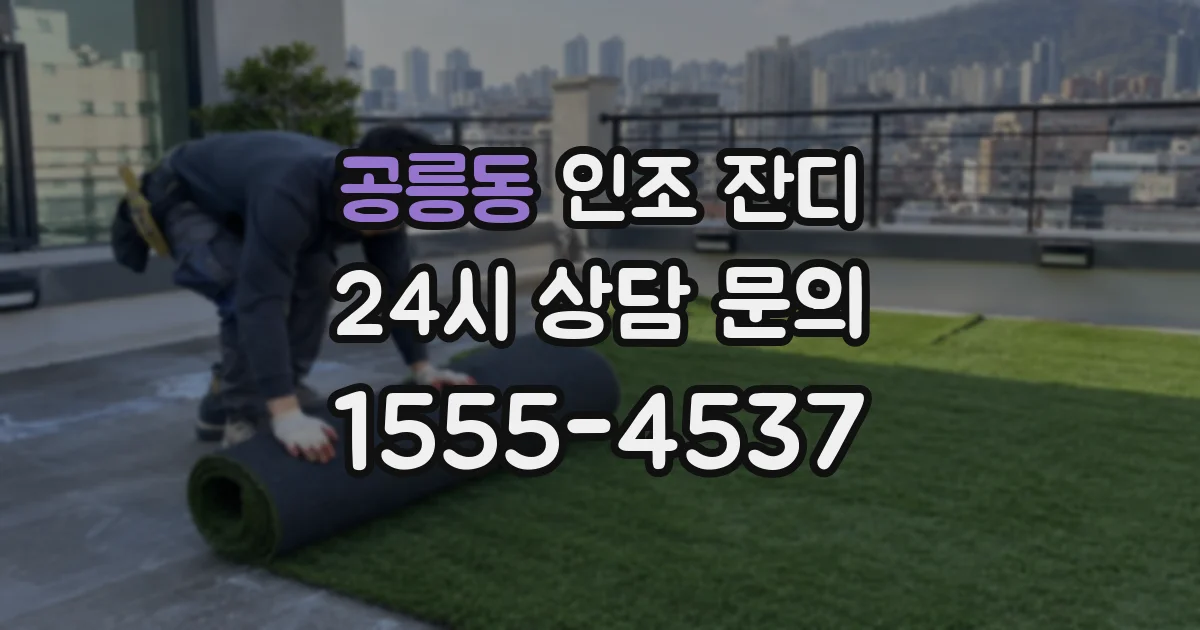 공릉동 인조 잔디
