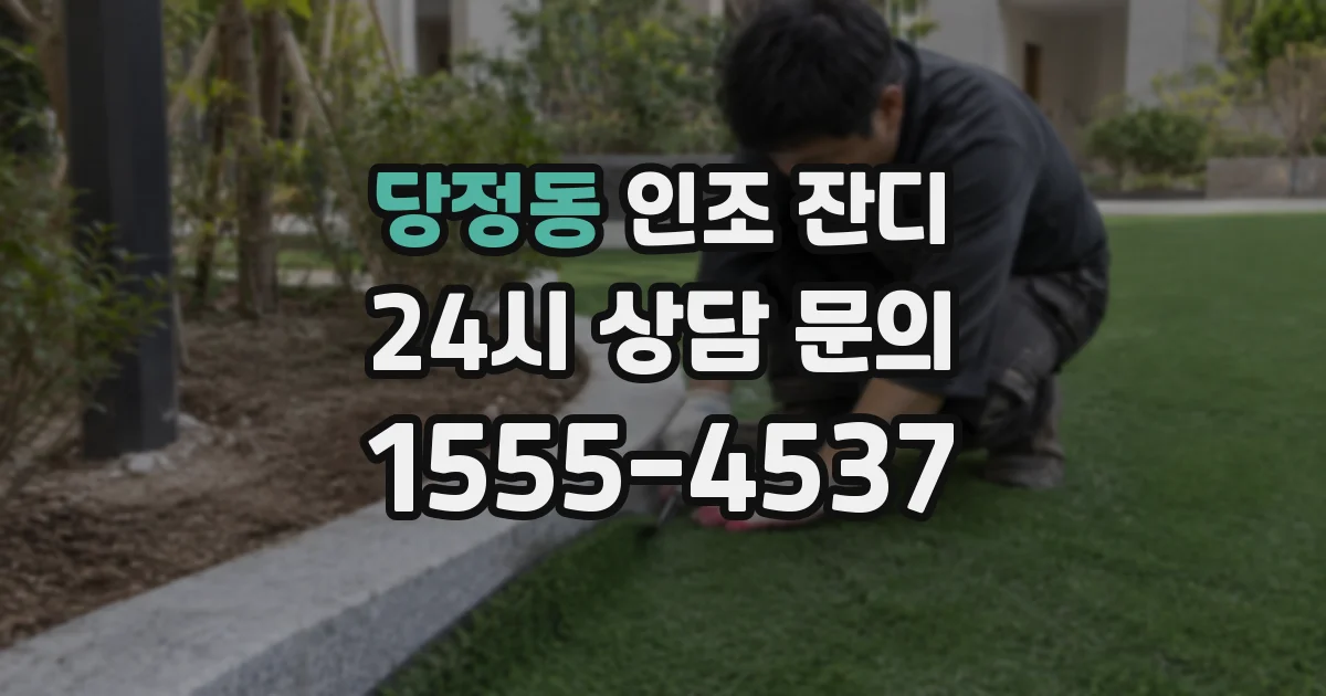 당정동 인조 잔디