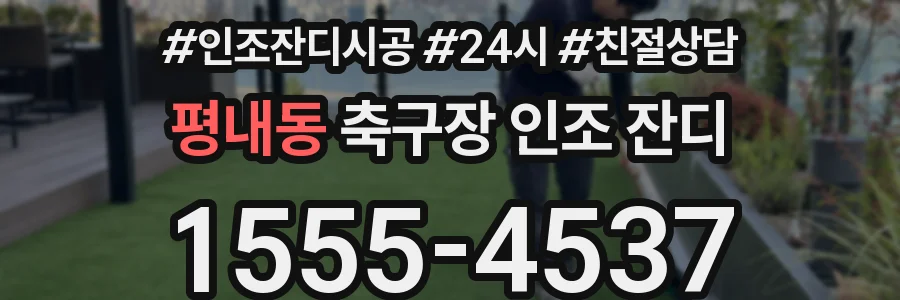 평내동 축구장 인조 잔디