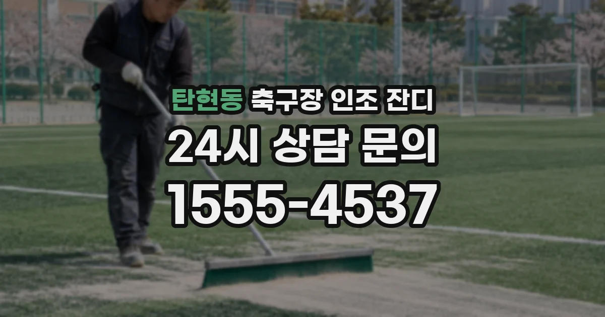 탄현동 축구장 인조 잔디