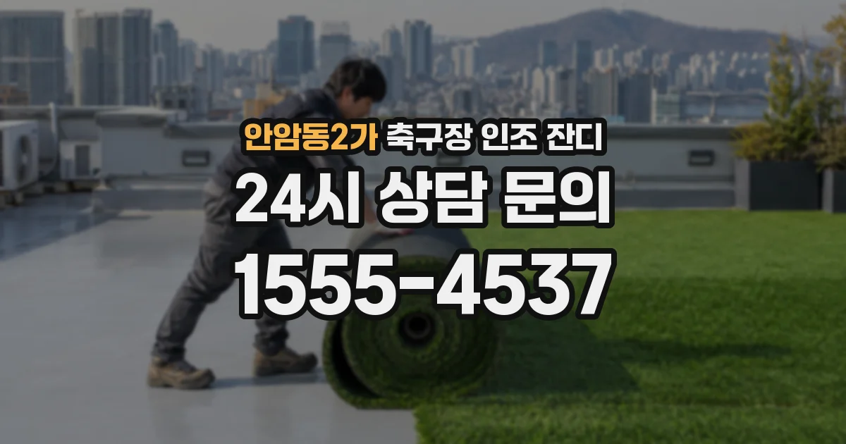 안암동2가 축구장 인조 잔디