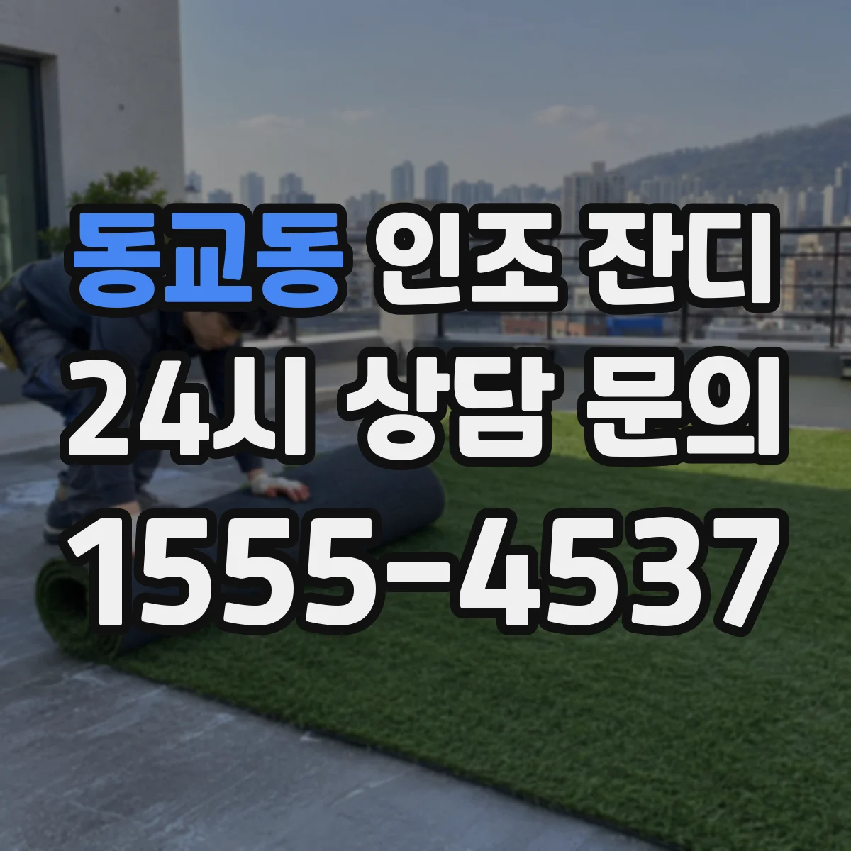 동교동 인조 잔디