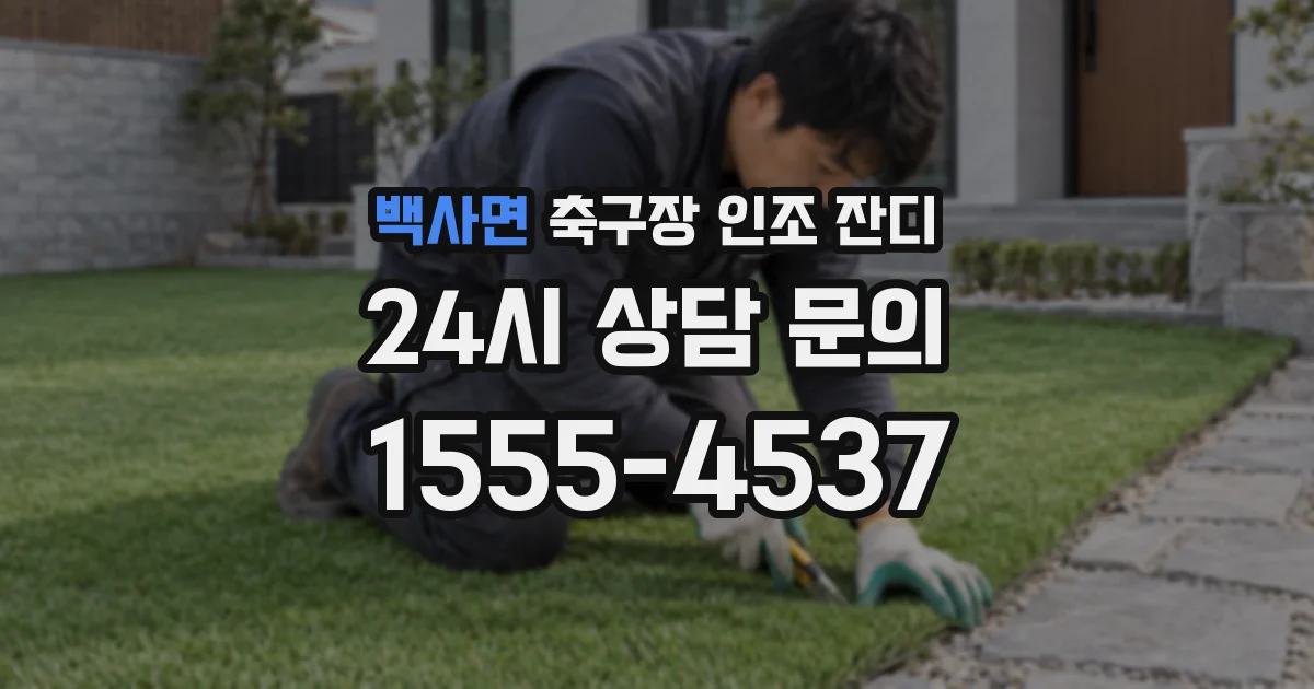 백사면 축구장 인조 잔디