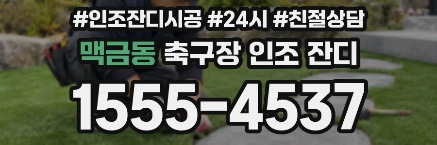 맥금동 축구장 인조 잔디