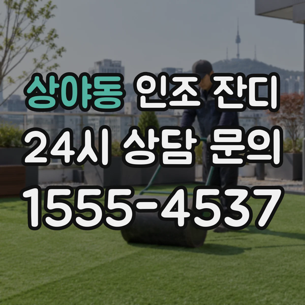 상야동 인조 잔디