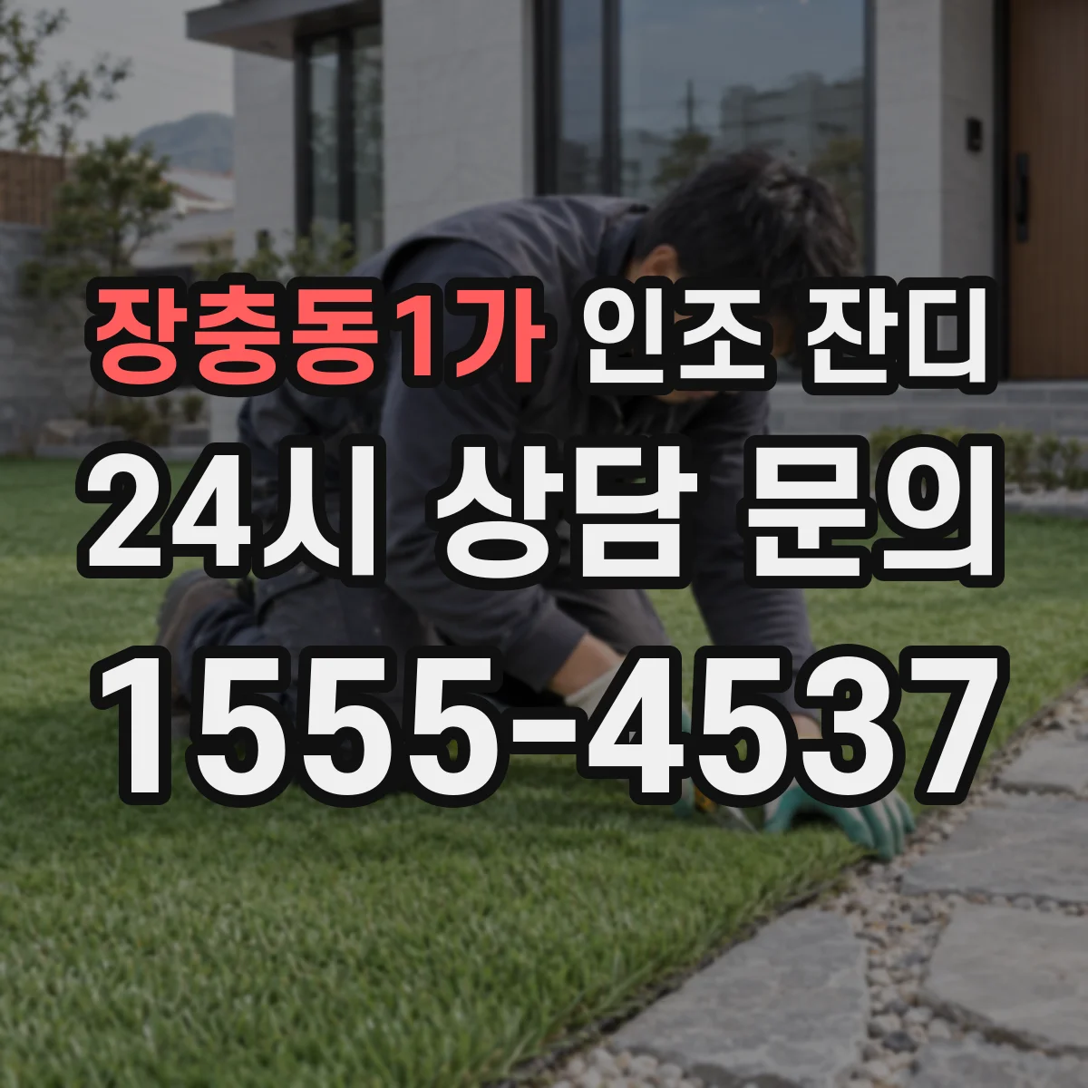 장충동1가 인조 잔디