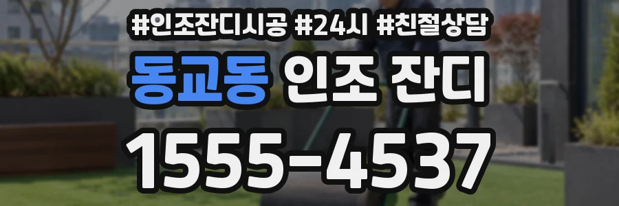 동교동 인조 잔디