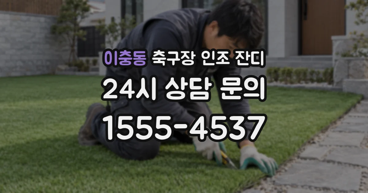 이충동 축구장 인조 잔디
