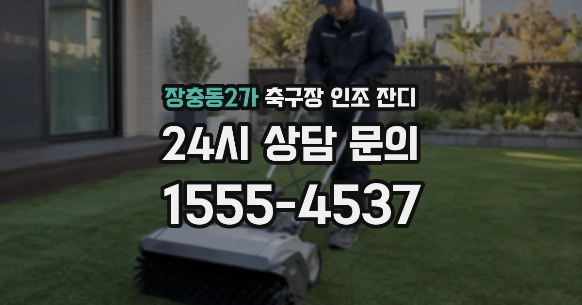 장충동2가 축구장 인조 잔디