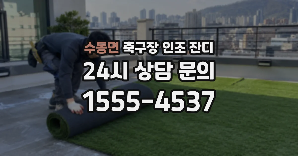 수동면 축구장 인조 잔디
