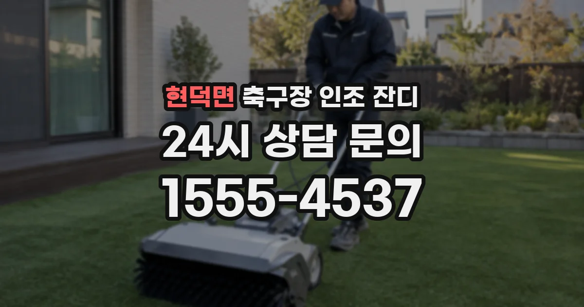 현덕면 축구장 인조 잔디