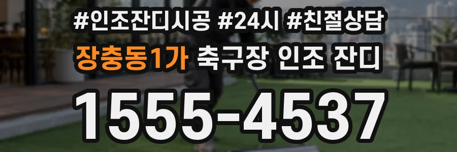 장충동1가 축구장 인조 잔디