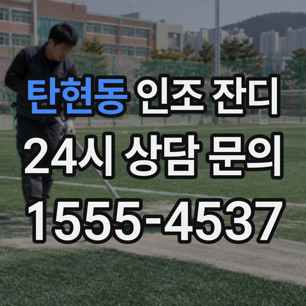 탄현동 인조 잔디