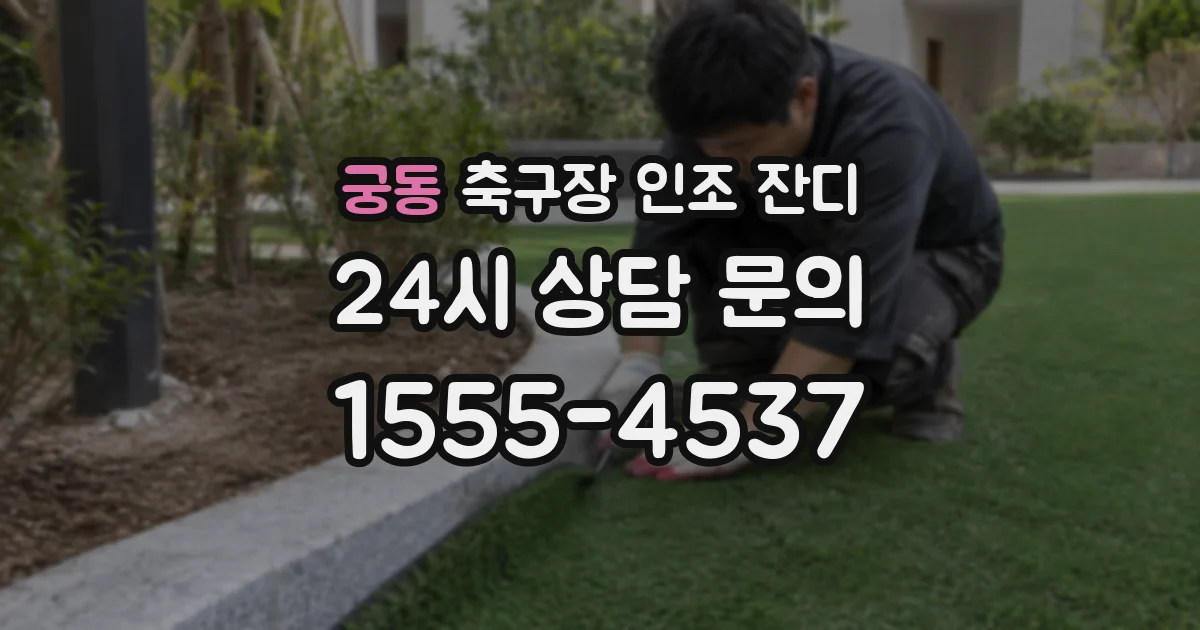 궁동 축구장 인조 잔디