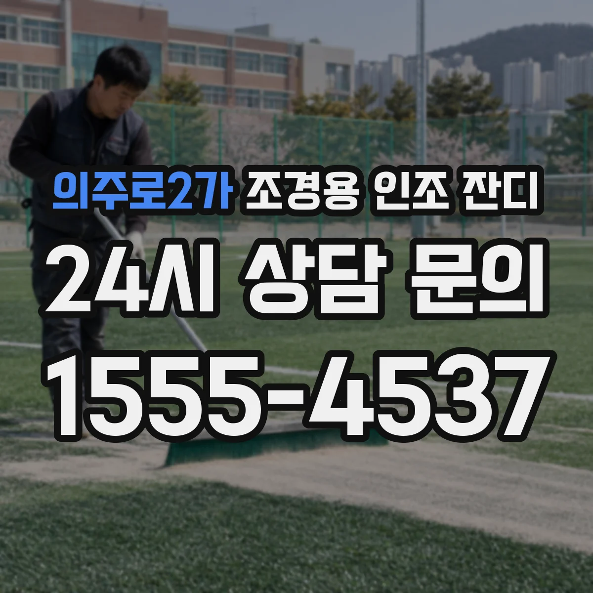 의주로2가 조경용 인조 잔디