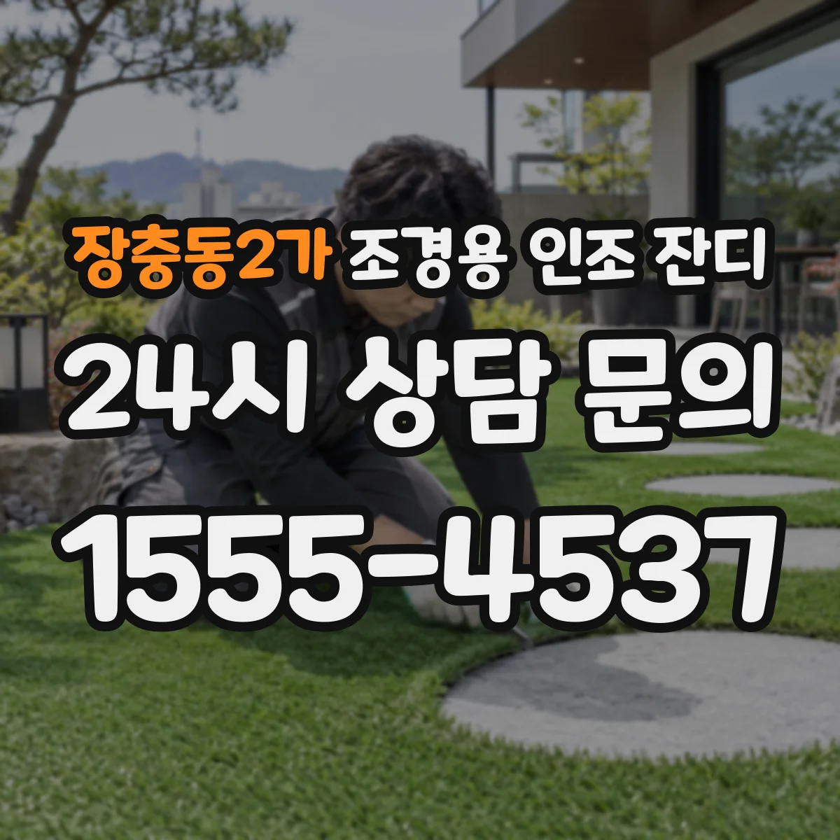 장충동2가 조경용 인조 잔디