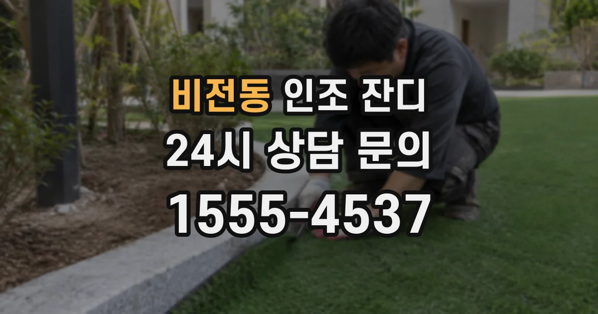 비전동 인조 잔디