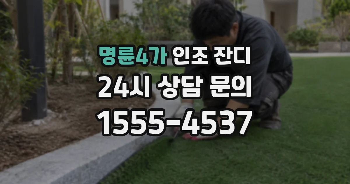명륜4가 인조 잔디