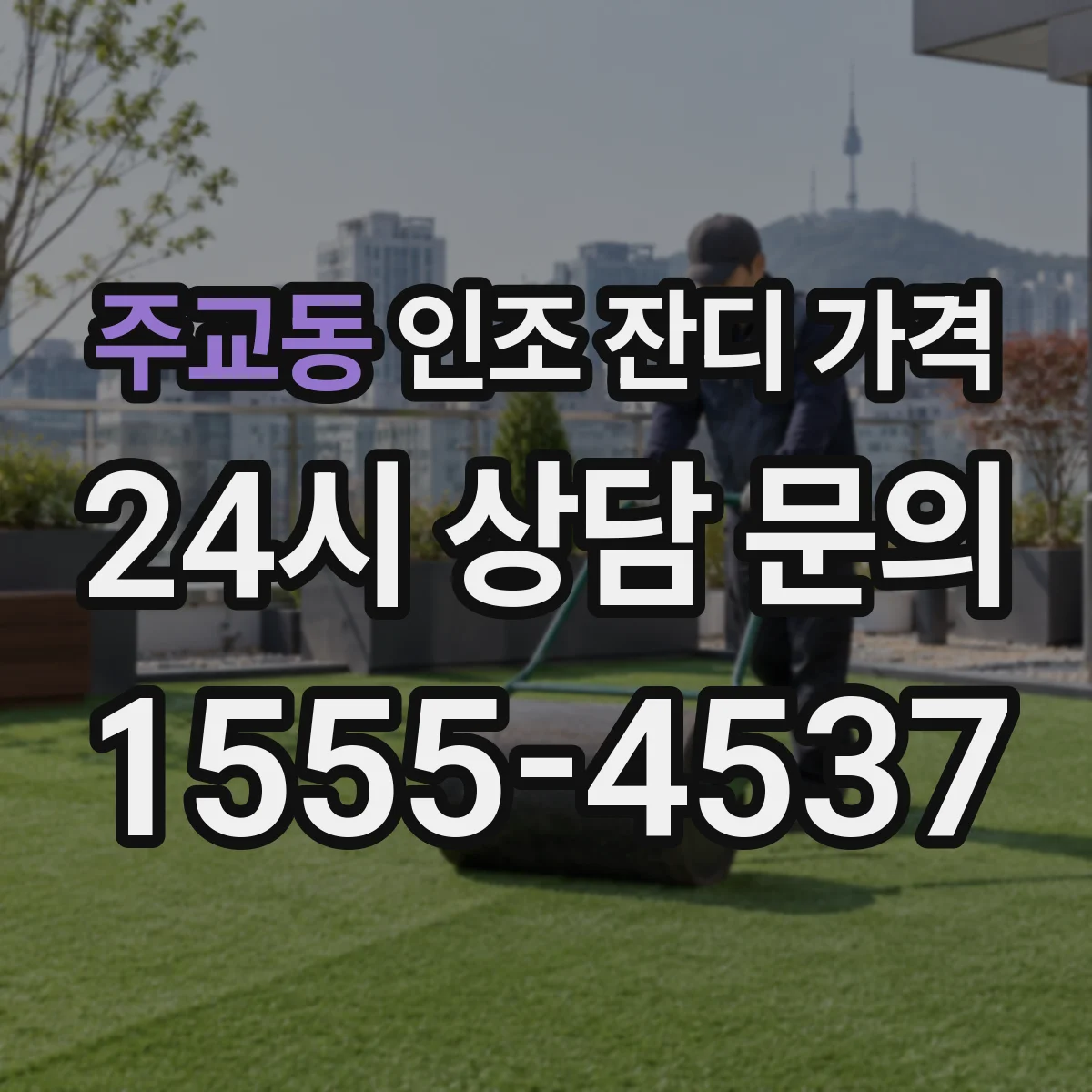 주교동 인조 잔디 가격